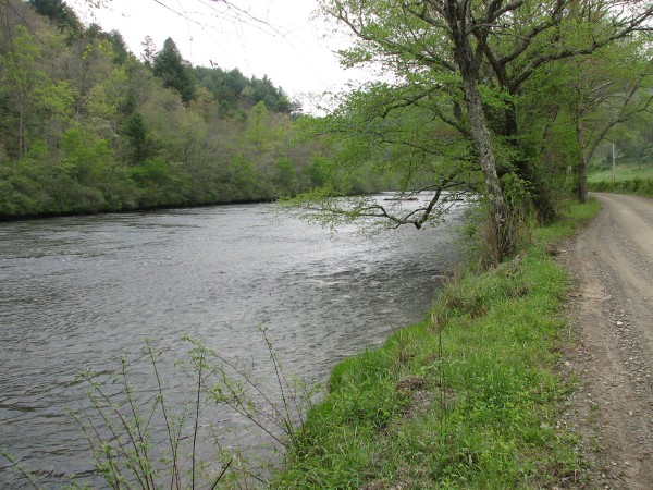 River Summer View-1 (600 x 450)